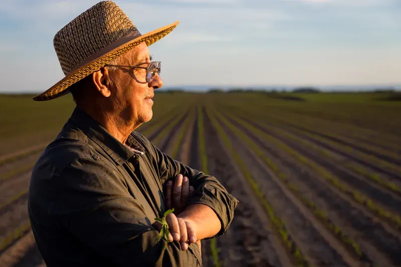 Farmer looking across a field