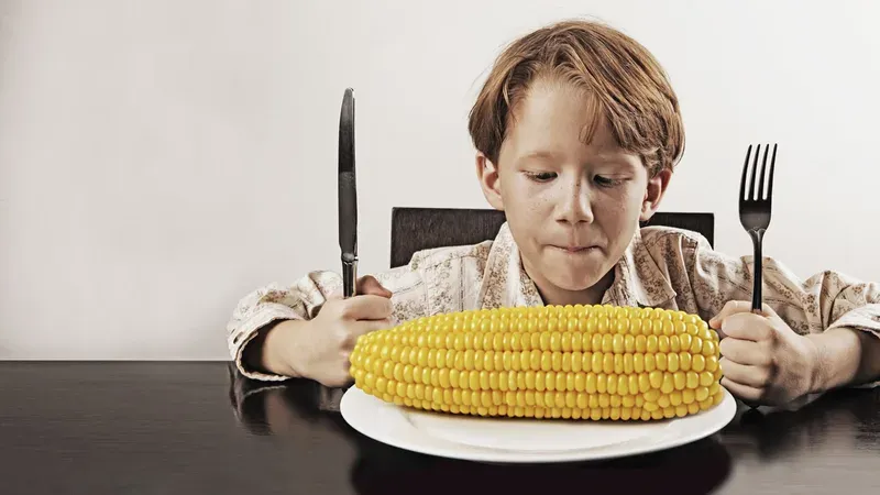 Child seated at a table with a large cob of maize