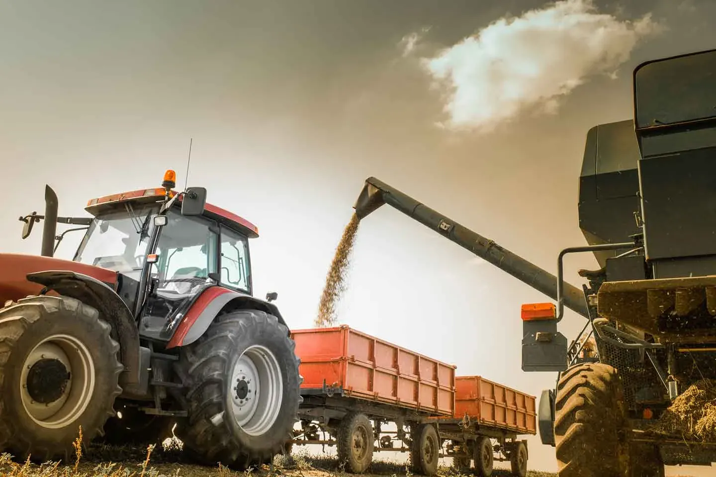 Tractor y remolque recibiendo una cosecha