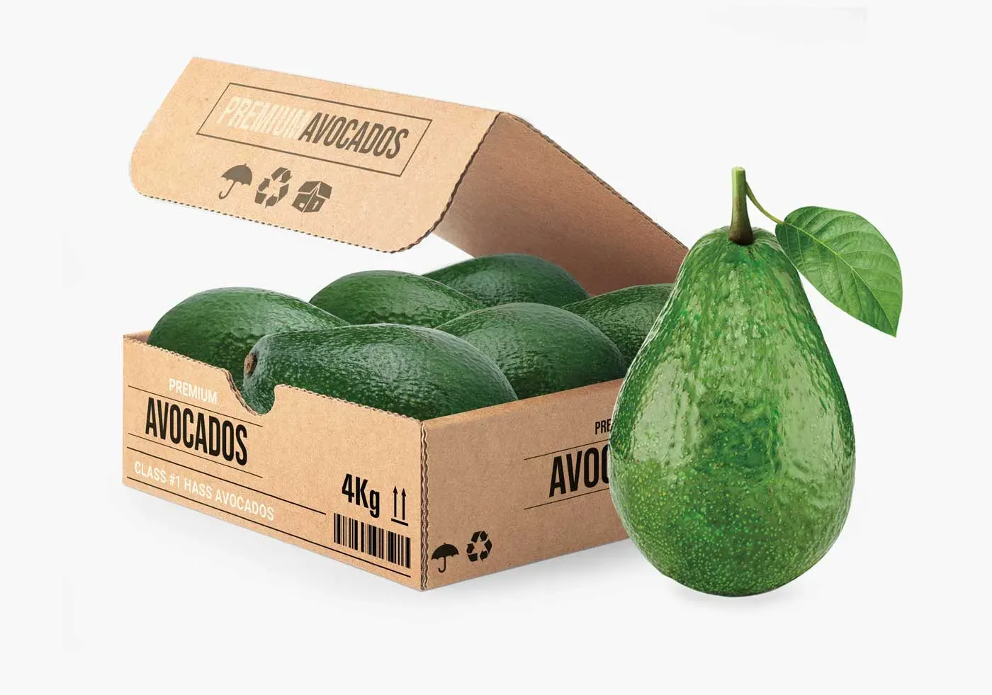 Aguacates | recomendaciones de aplicación