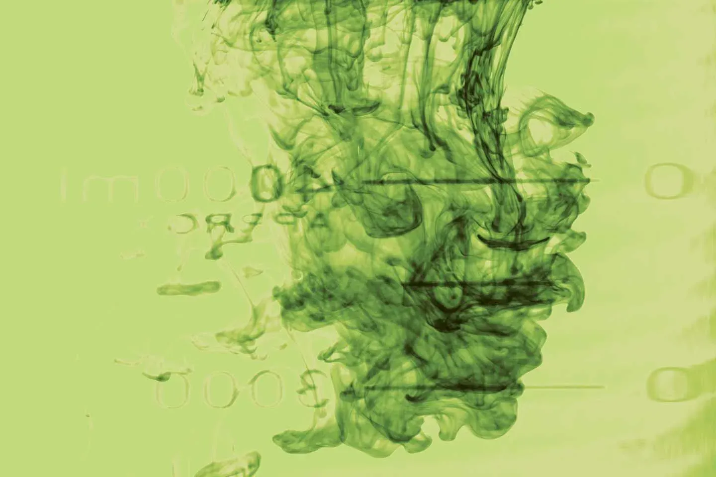 Microscopic view of green kelp cells