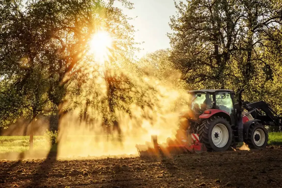 Tractor pulverizando un huerto bajo la cálida luz del sol