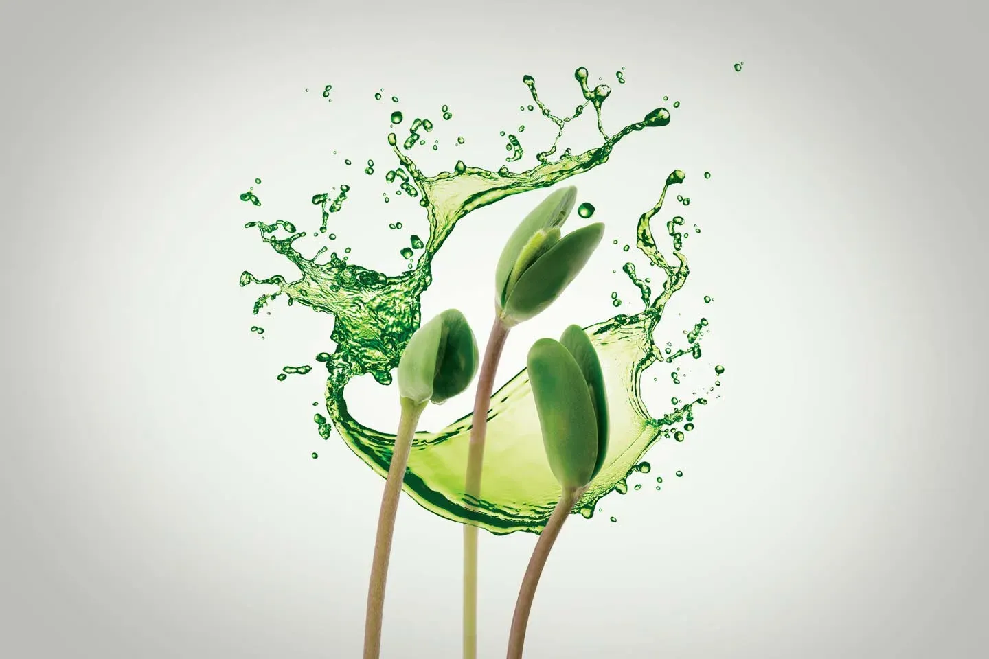 Líquido verde salpicando alrededor de una plántula joven