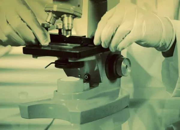 Scientist adjusting a microscope