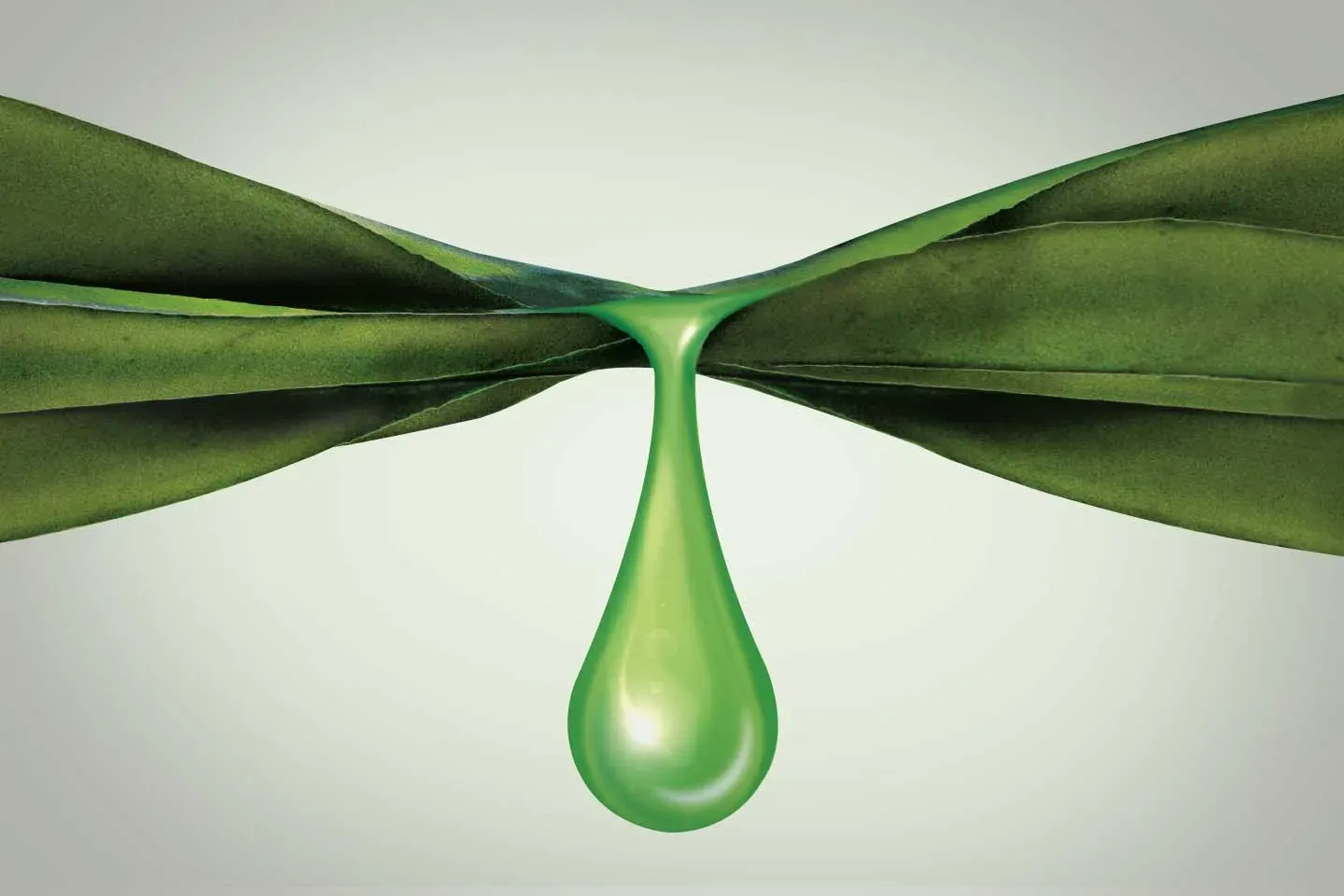 Gota verde suspendida entre dos hojas