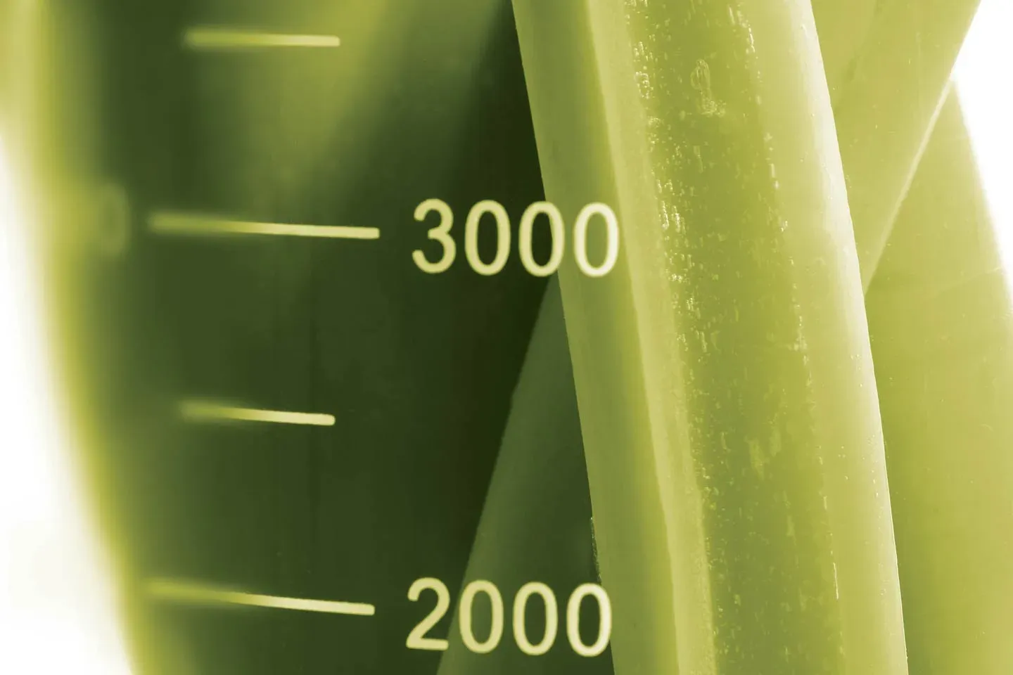 Extracto verde de kelp en un vaso de precipitados graduado