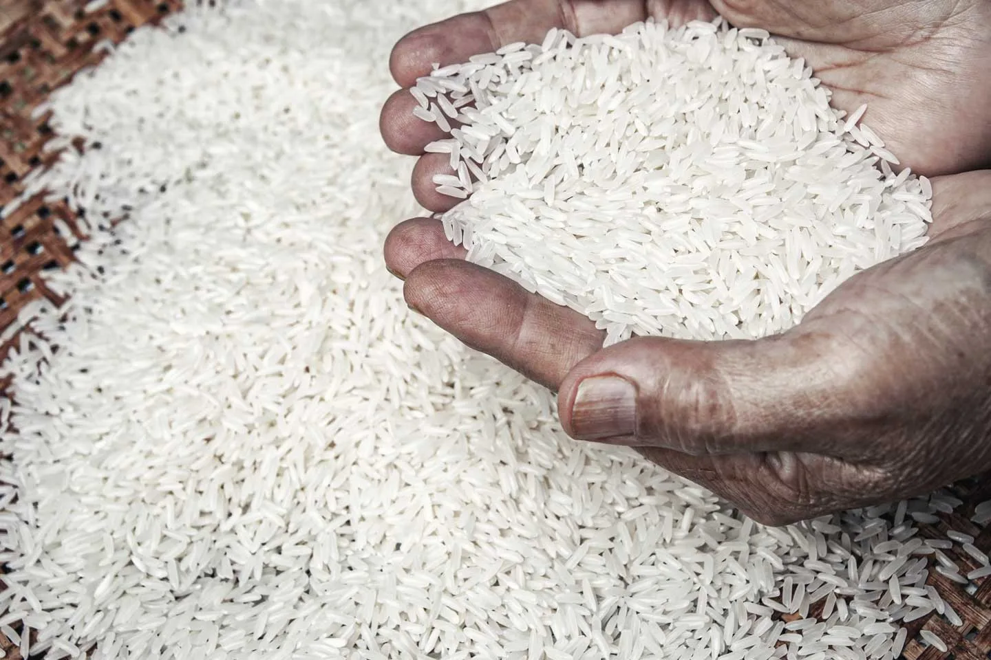 Arroz