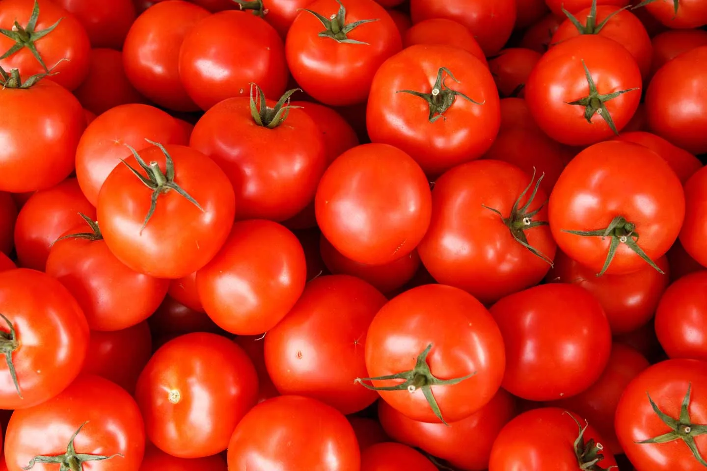 Tomates