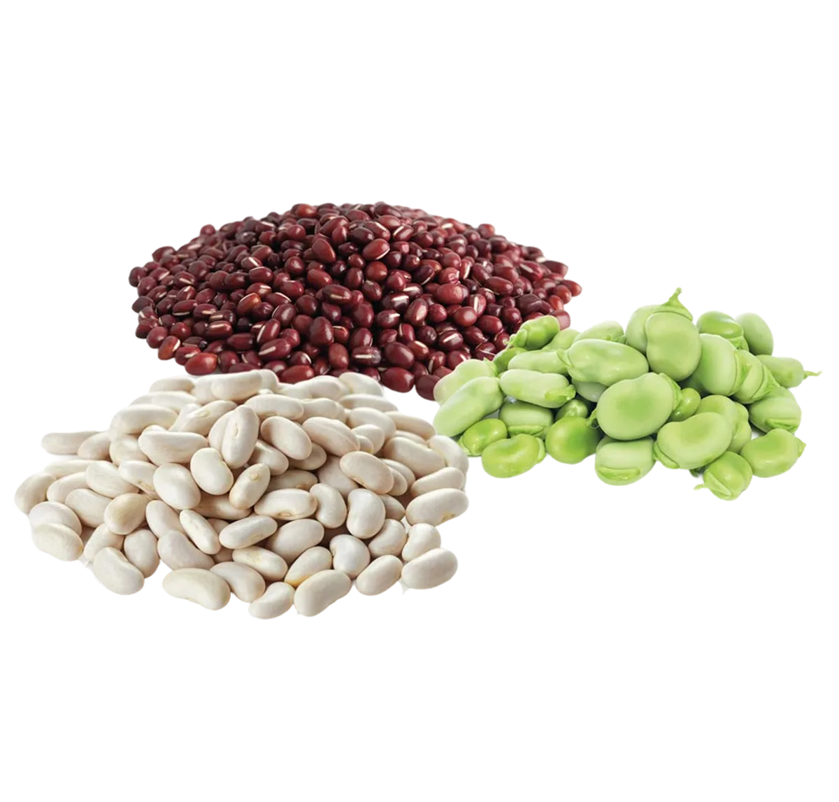 Frijoles