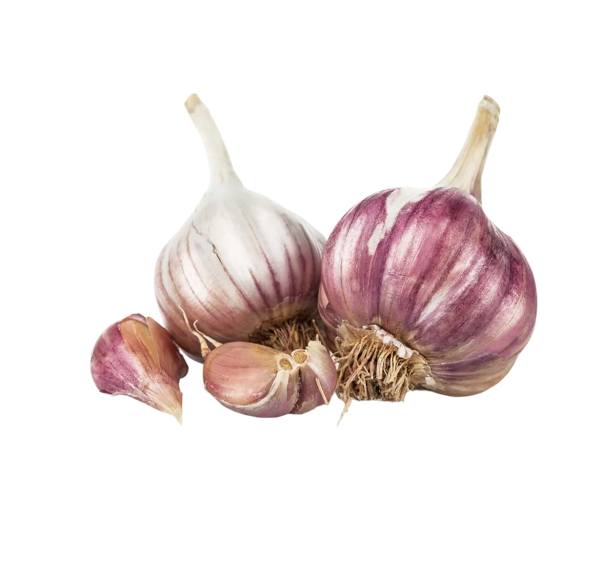 Ajo