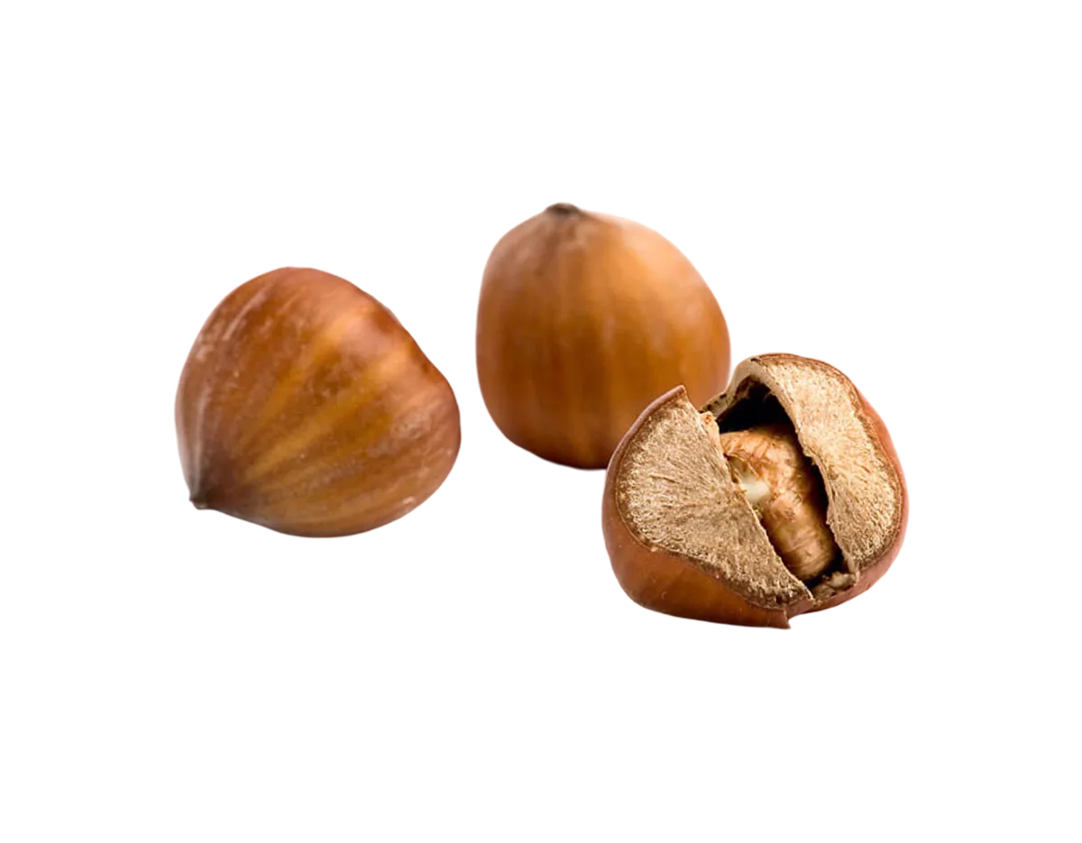 Avellanas