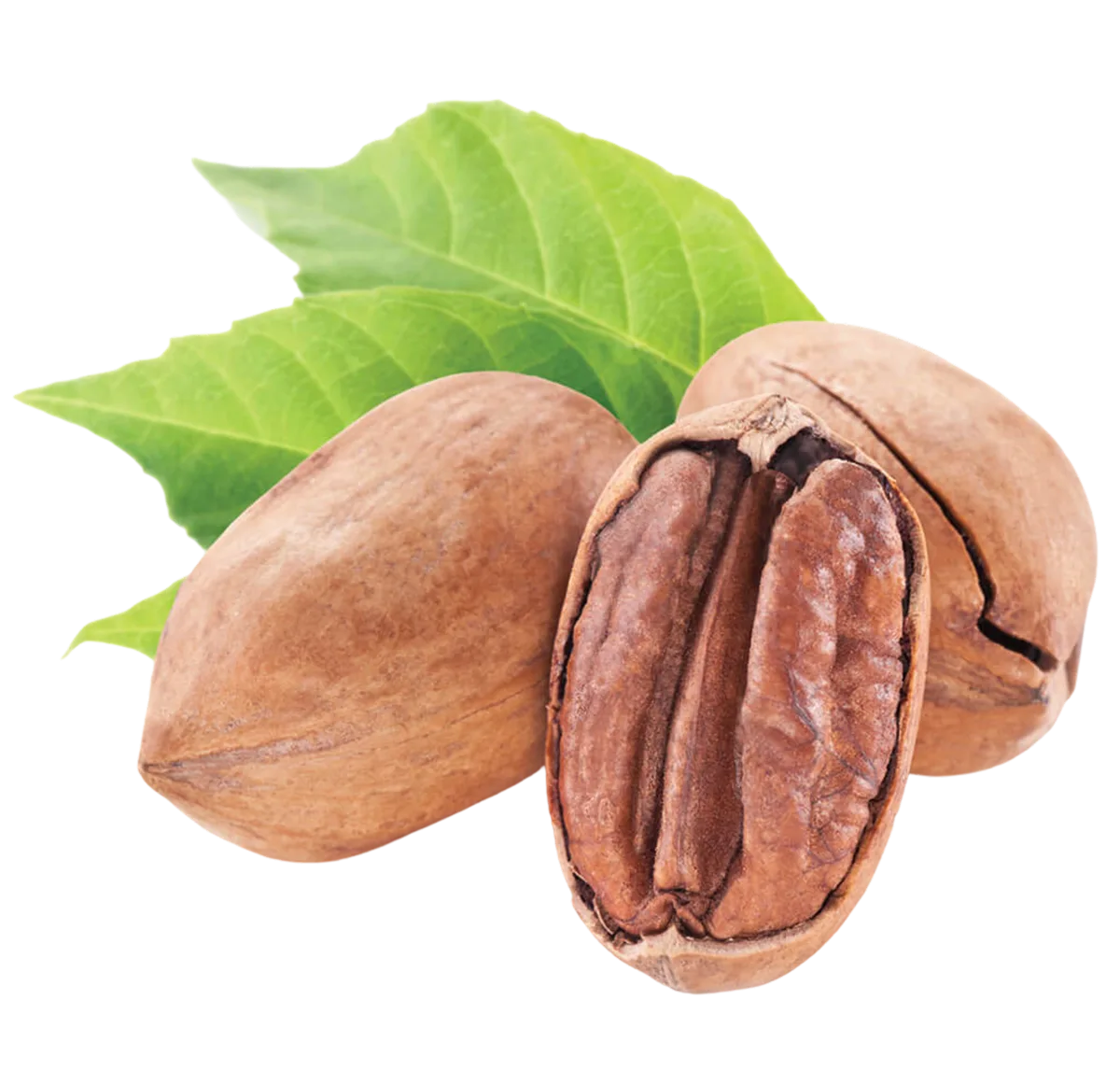 Nueces pecanas