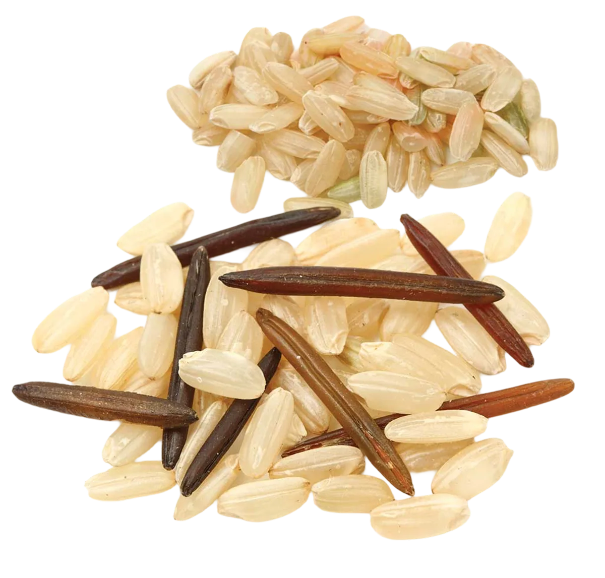 Arroz