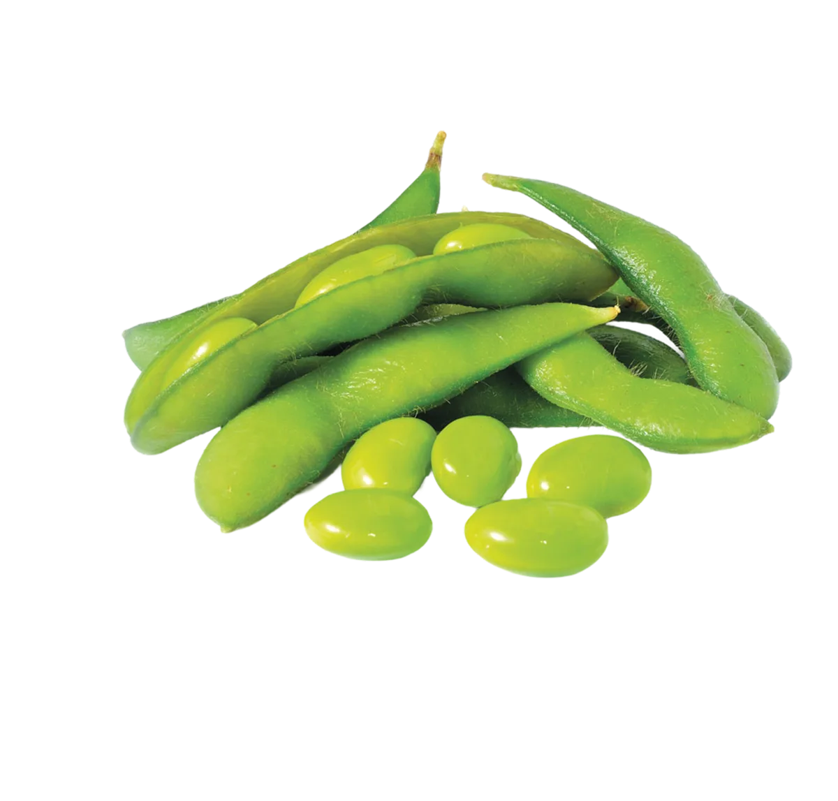 Soya