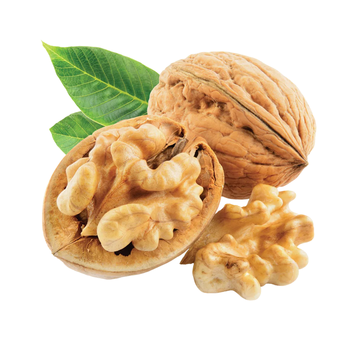 Nueces de nogal
