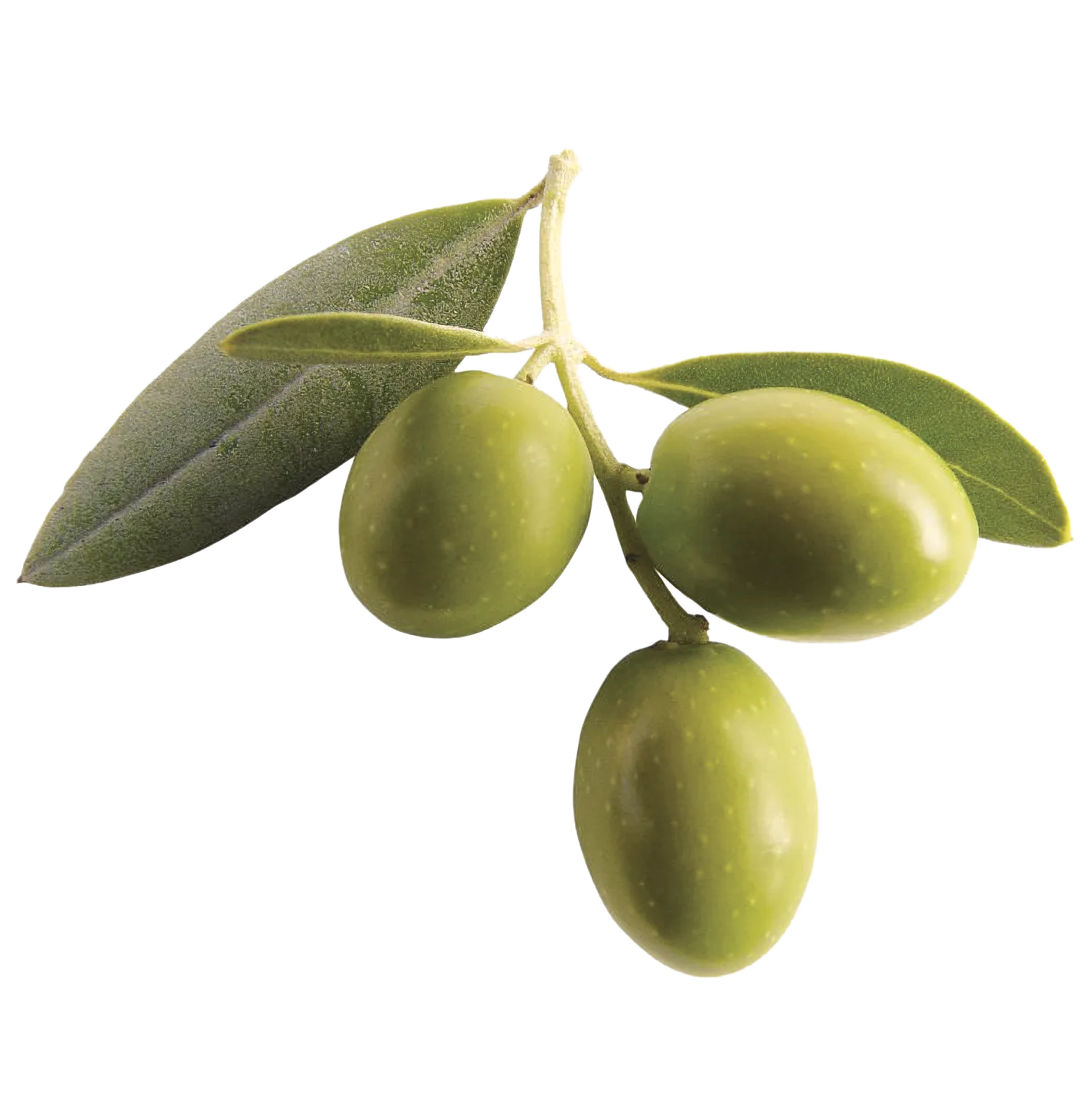 green olives