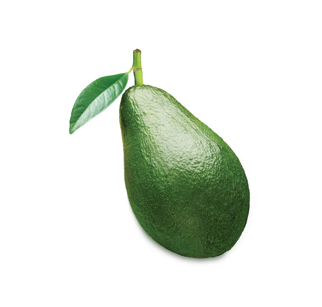 Avocado