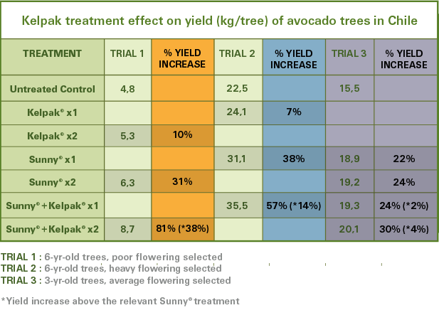 avocado