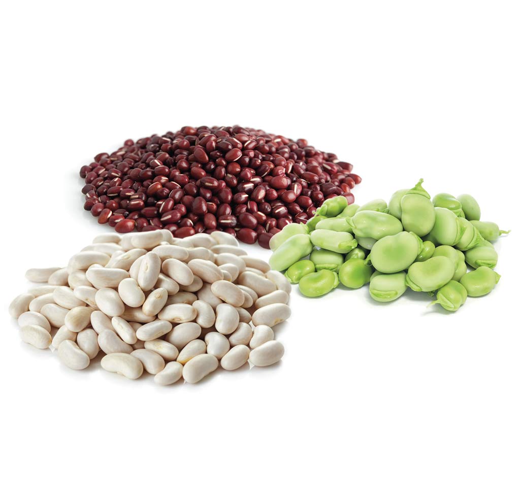 Beans, Dry/Green