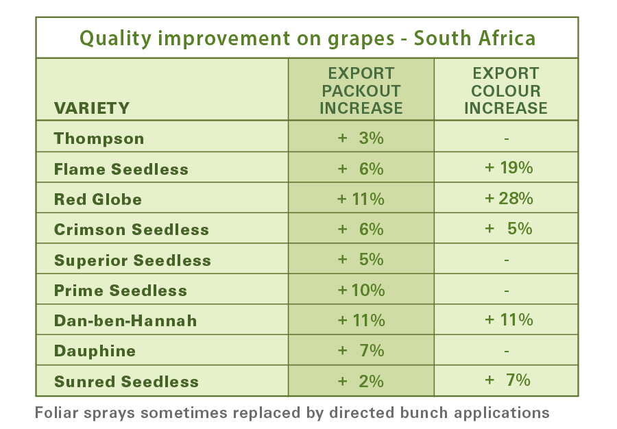 Grapes Chart