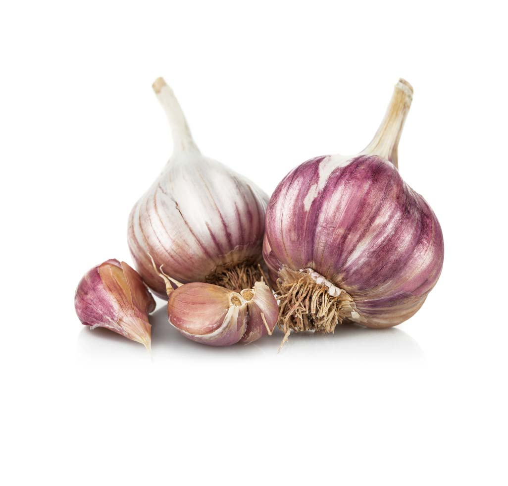 garlic