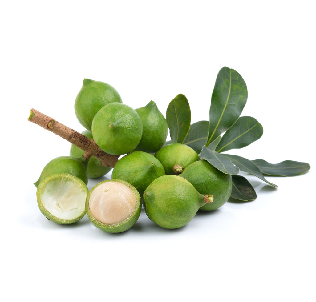 macadamias