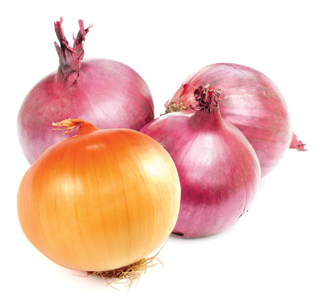 onion image