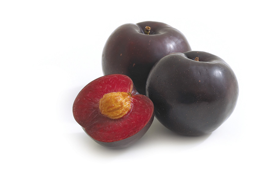 Benefits of Kelpak on Plums.